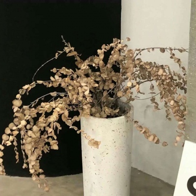 兽设拟人化设计实用技巧Furry群